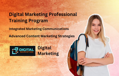 Digital Marketing Professional Training Program - Udemy